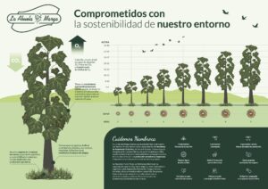 Paulownias sostenibilidad abuela marga 