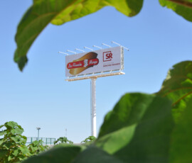 Identidad corporativa de grupo empresarial especializado en producción de embutidos artesanales y productos cárnicos